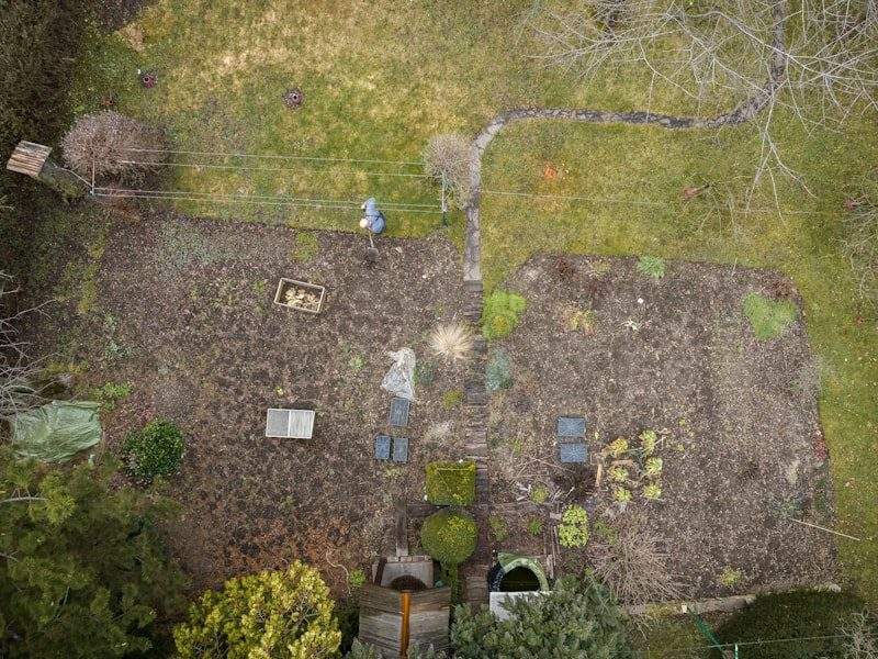 Overgrown yard before cleanup in Glendora, CA