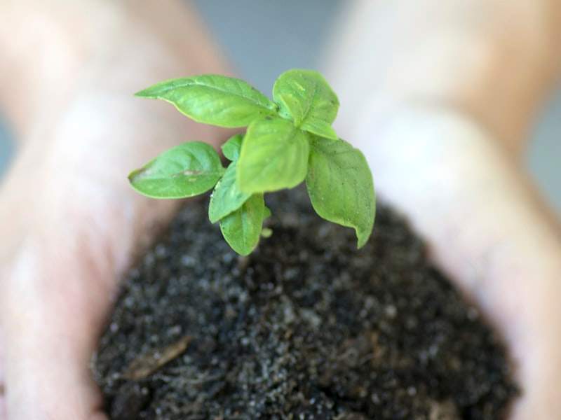 Understanding Hoarding Cleanup in Glendora